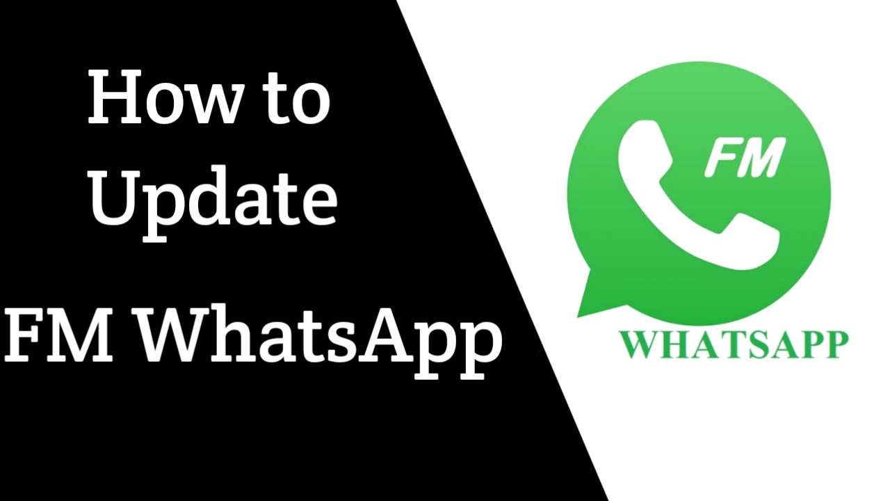 How to Update FM WhatsApp