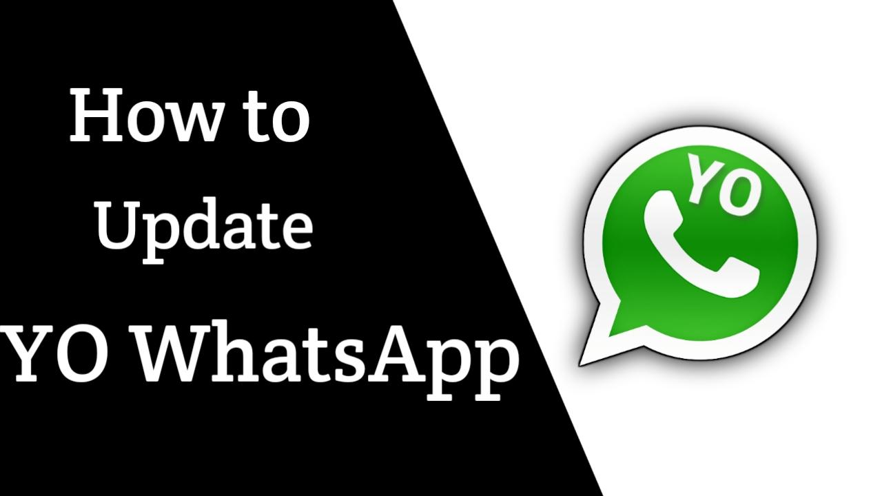 How to Update YO WhatsApp