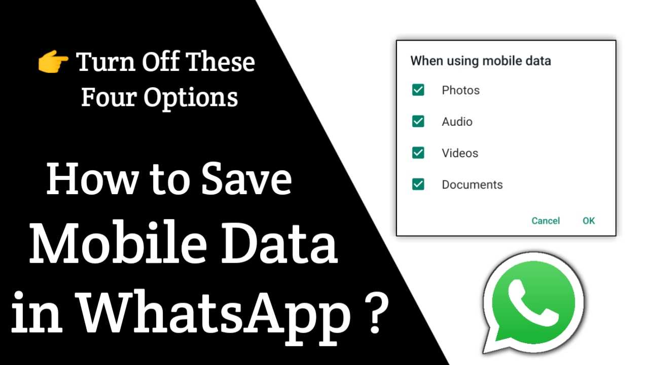 How to Save Mobile Data in WhatsApp