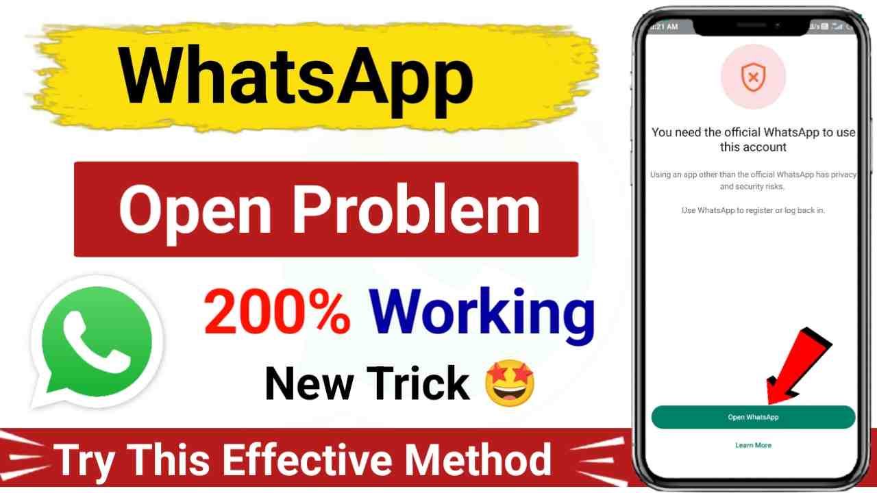 You need the official whatsapp to use this account problem